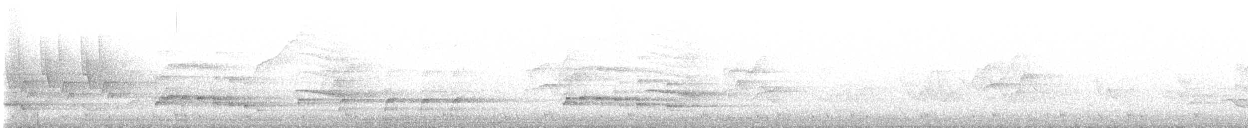 Белоголовый орлан - ML619522766