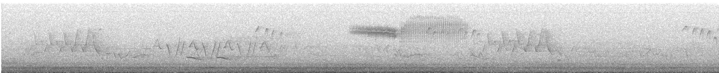Голубокрылая червеедка - ML619522828