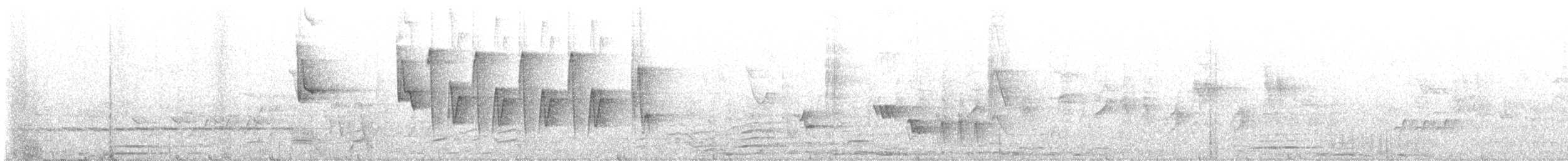Широкохвістка середземноморська - ML619522962