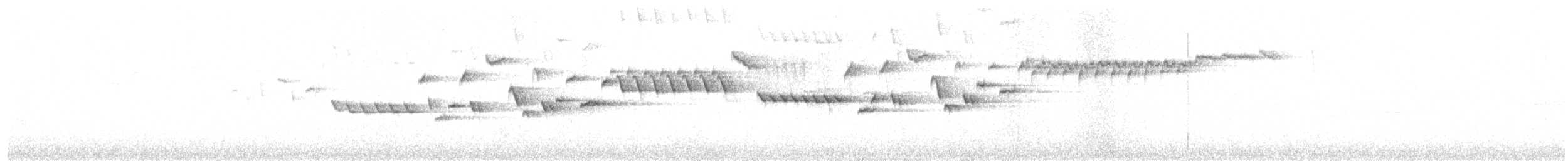 střízlík kanadský - ML619523282