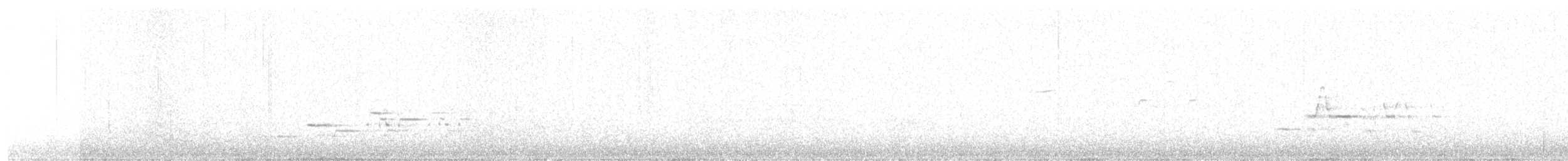 Дрозд-отшельник - ML619523286