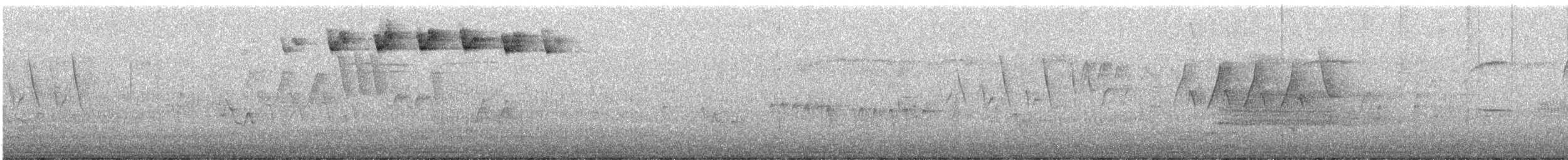 Paruline rayée - ML619523961