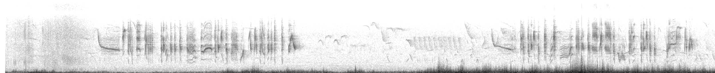 Iberien-Bartgrasmücke - ML619523984