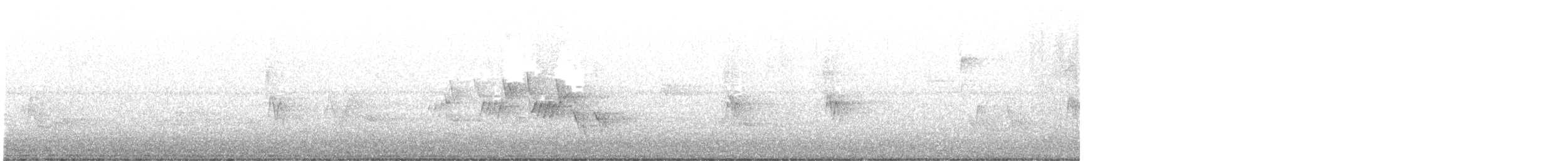 svartbrystparula - ML619525229