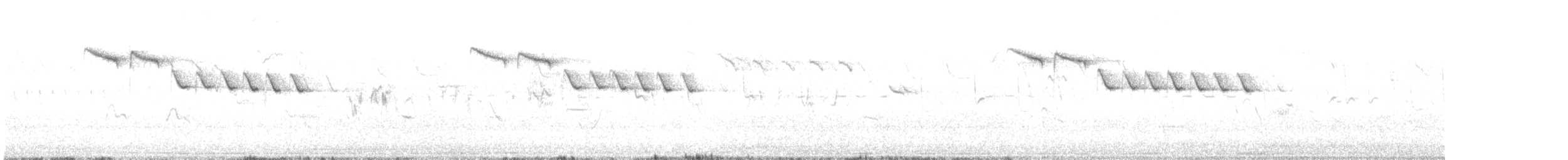 Amilotx urdina - ML619525234