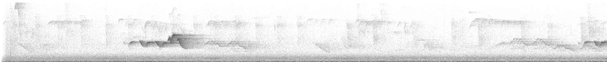 Paruline à capuchon - ML619526177