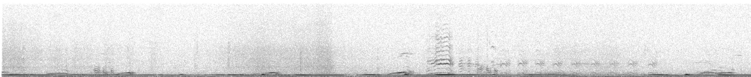 Gallo de las Praderas Grande - ML619527432