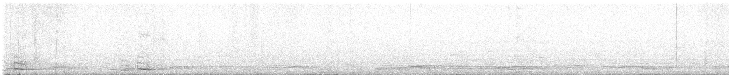 stripeskjeggfugl - ML619527846
