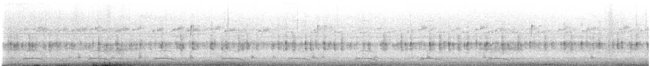 Turnayelvesi [pictus grubu] - ML619528181