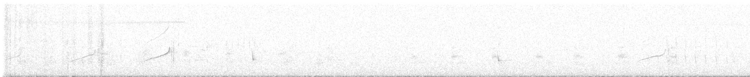 Élanion à queue blanche - ML619528599