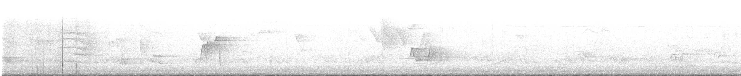 Acadian Flycatcher - ML619528739