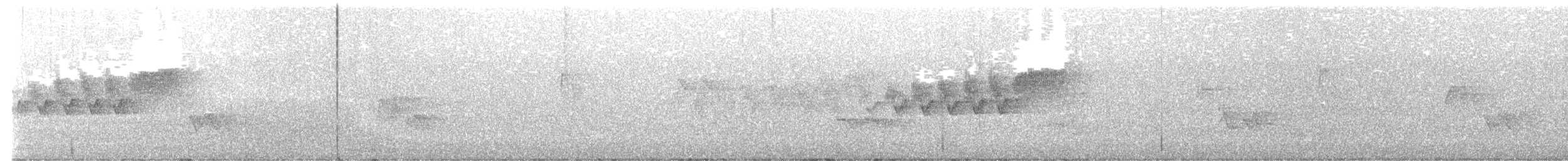 Cerulean Warbler - ML619528900