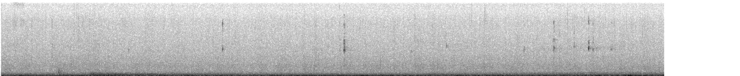 שחפית שחורת-אוזן - ML619529007