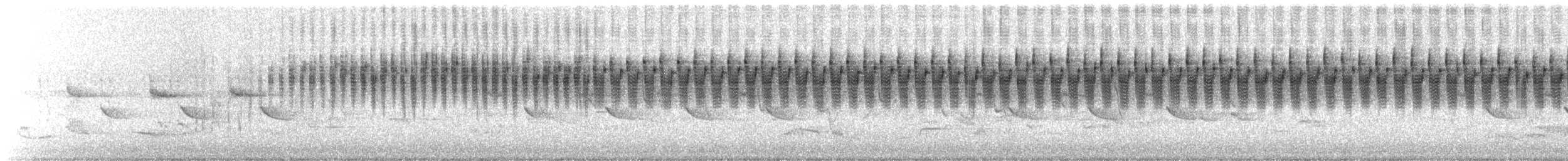 cvrčilka říční - ML619529127