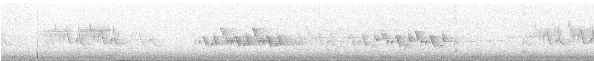 Карнатка бліда - ML619529280