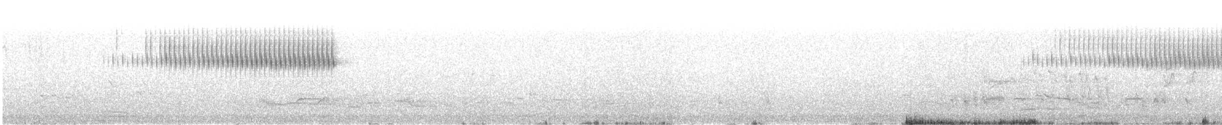 Обыкновенный сверчок - ML619529962