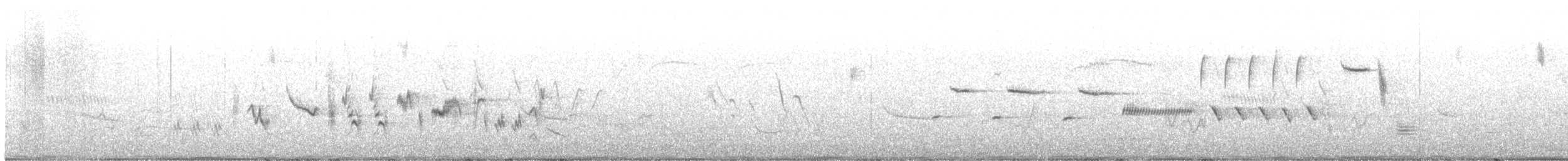 Oriole des vergers - ML619529989