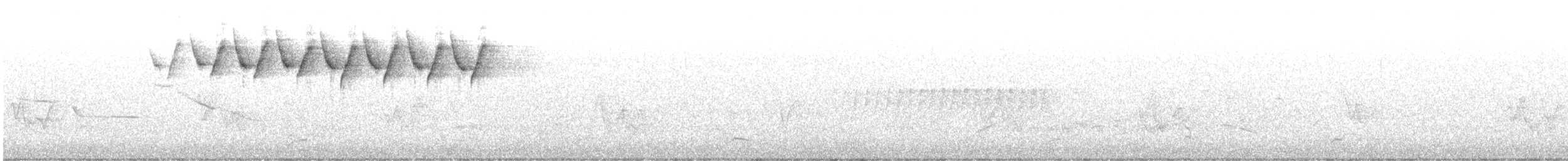 Paruline noir et blanc - ML619530007