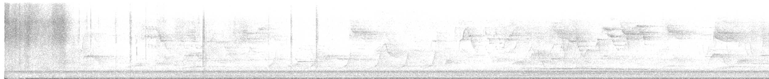 Дрізд-короткодзьоб Cвенсона - ML619531454