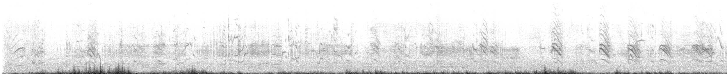 Hirondelle à front blanc - ML619531707