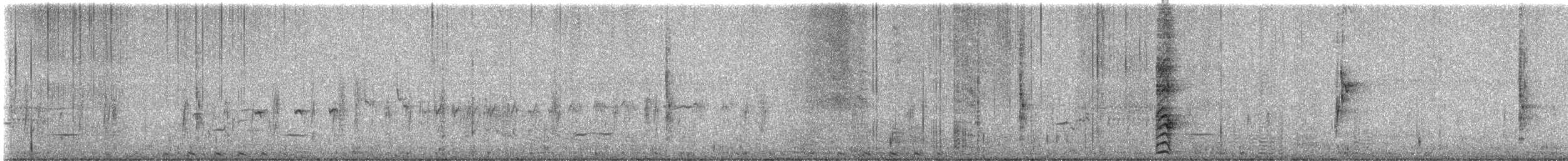 pygmérørdrum - ML619533278