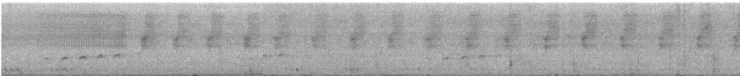 Дронговая кукушка - ML619533368