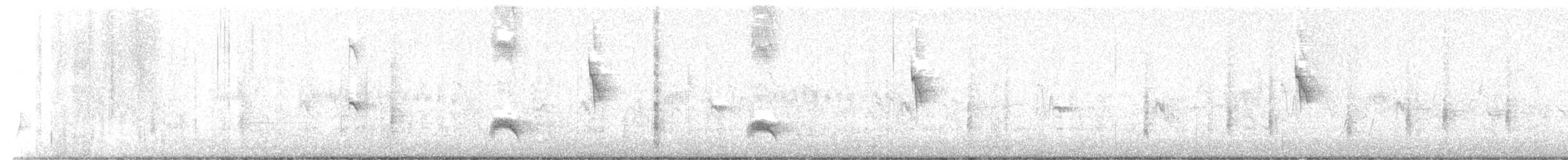 Brown-crested Flycatcher (Arizona) - ML619533970