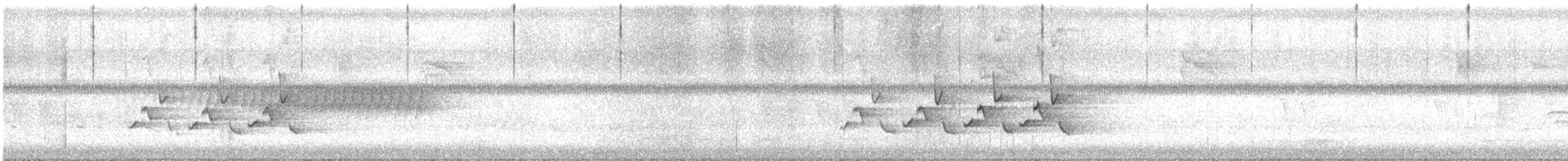 Troglodyte de Caroline - ML619535215