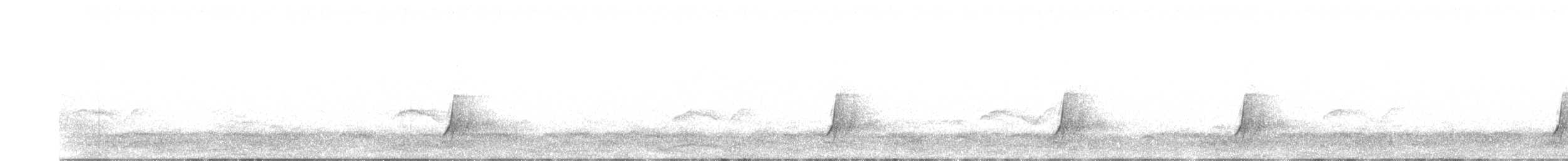 斑胸秧雞 - ML619535627