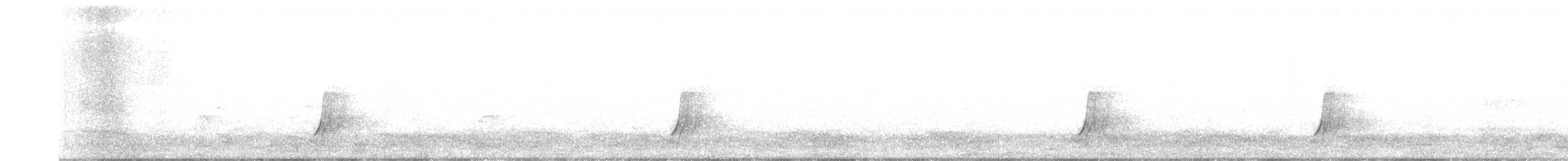 斑胸秧雞 - ML619535628