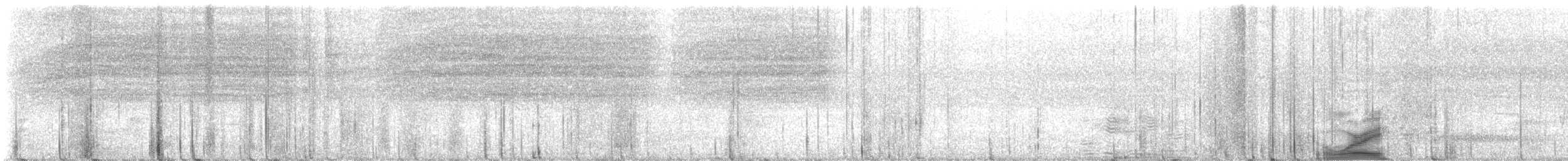 Ivory-billed Woodcreeper - ML619535685