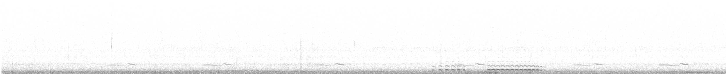 Западная совка [группа kennicottii] - ML619536390