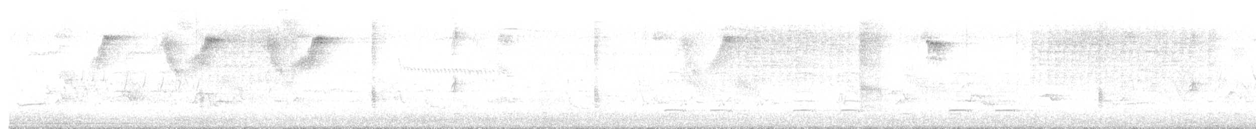 Troglodytidae, unbestimmt - ML619536581