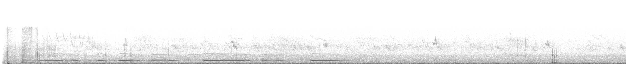 Белокрылая горлица - ML619537629