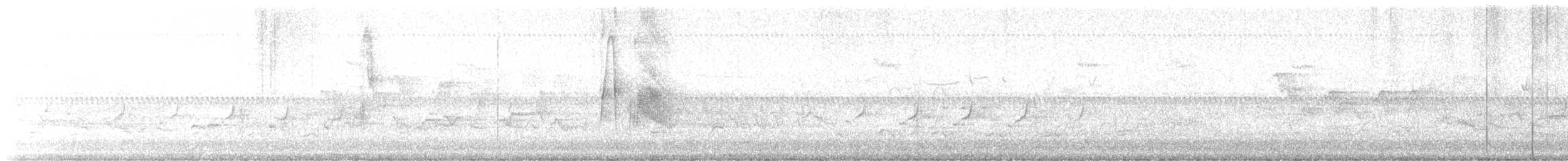 tyranovec vrbový - ML619538232