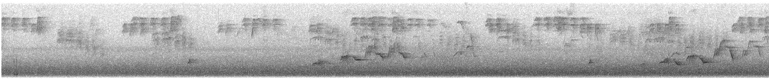 Дрізд-короткодзьоб Cвенсона - ML619539244