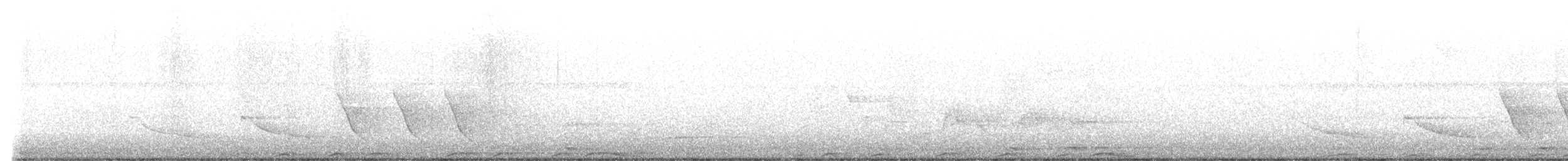 Chouette rayée - ML619539683