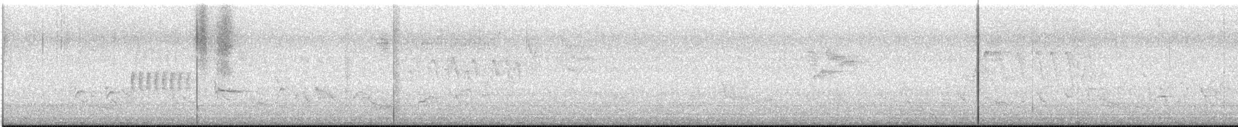 Тауї плямистий - ML619540384