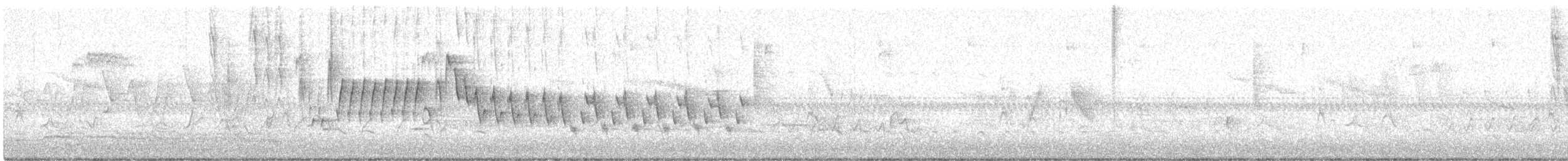 Northern House Wren - ML619540434