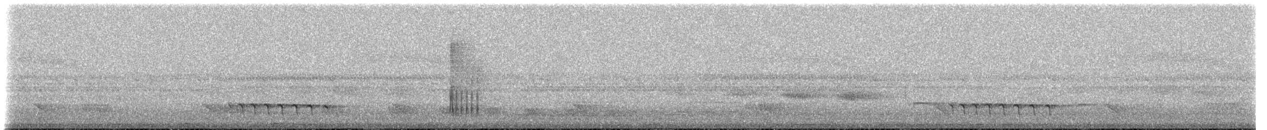 Крапчатый торорой - ML619540562