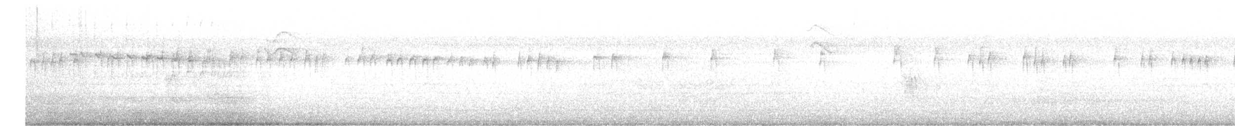 Араукариевая колючехвостка - ML619540787
