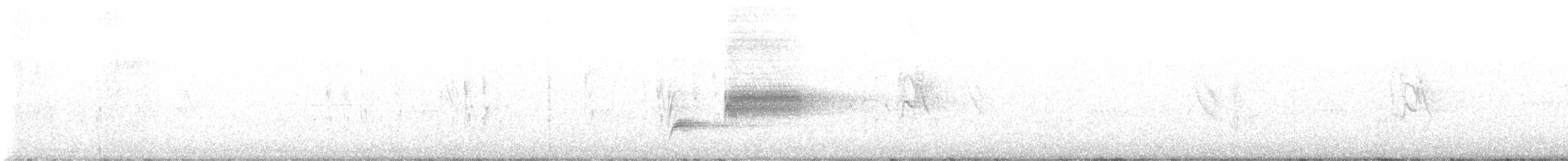 Тауї плямистий - ML619540813