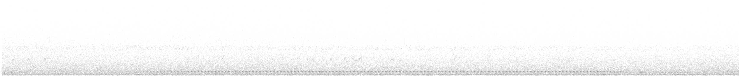 Texasnachtschwalbe - ML619541741