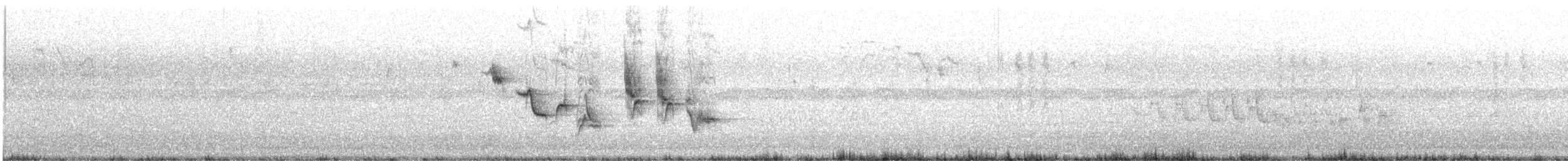 Trauerschnäpper - ML619542022