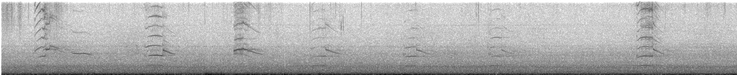 紐澳紅嘴鷗 - ML619542305