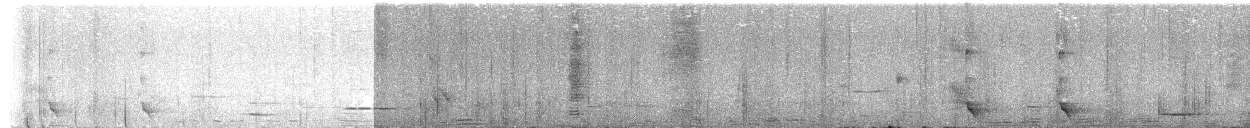 Méliphage carillonneur - ML619543107