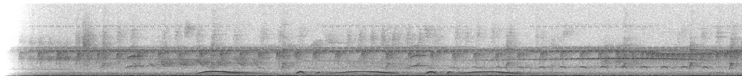 holub neotropický - ML619543822