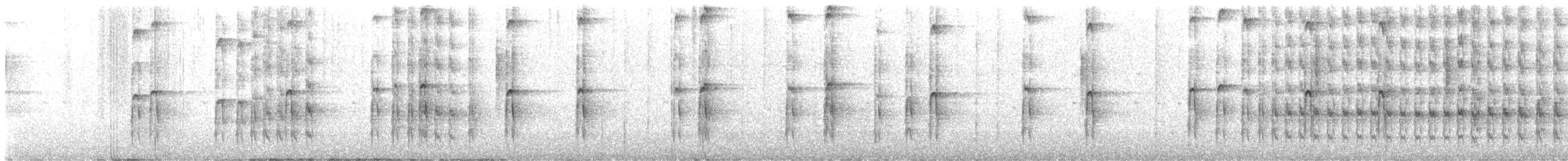 strakapoud americký [skupina villosus] - ML619544068