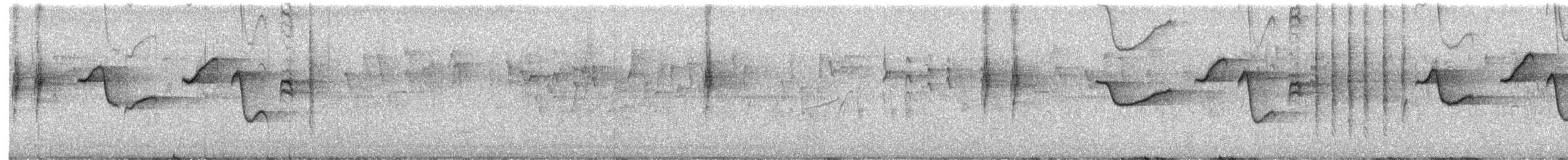 Hartlaubschnäpper - ML619544206