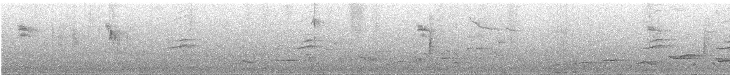 Papamoscas Gris (grupo striata) - ML619544701